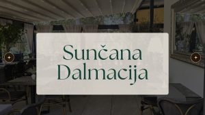 503590103 1042441907998573 394588063994798760 n